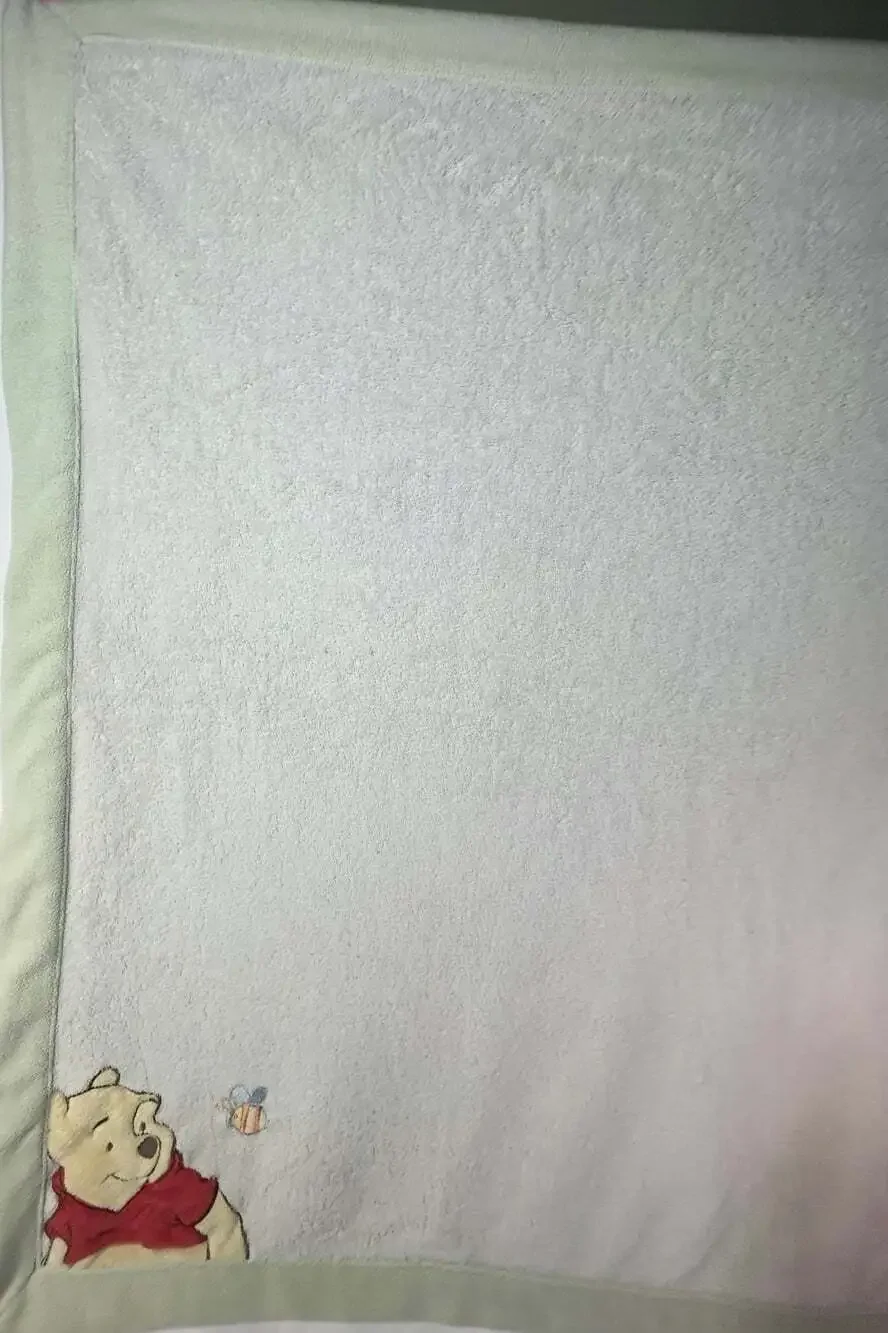 Winnie The Pooh and Bee Blanket cream with green edge 30x40”in READ